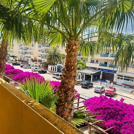 Penthouse Naomi With Two Terraces, Private Solarium, Sea View, Swimming Pool, With Underground Parking, Pets Allowed Lejlighed *